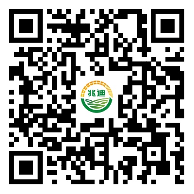 联系PP电子游戏